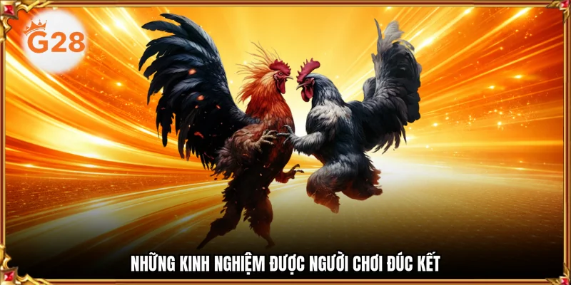 Những kinh nghiệm được người chơi đúc kết